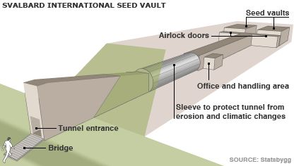 File:42551989 seed vault 416.jpg