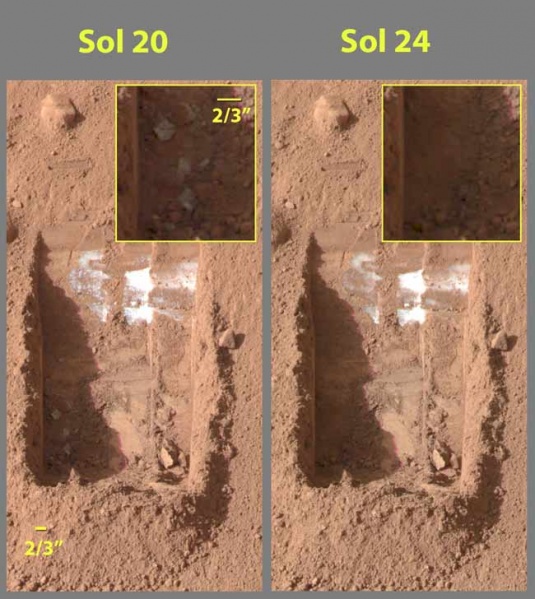 File:PhoenixAndMarsWater.jpg