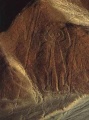 Nazca.god.jpg