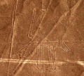 Nazca dog.jpg