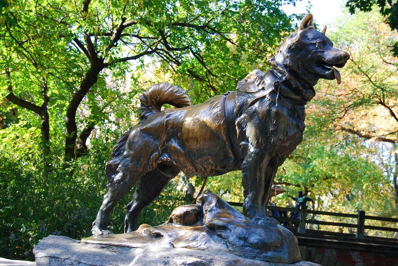 File:Balto.jpg