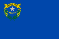 Flag of Nevada.svg.png