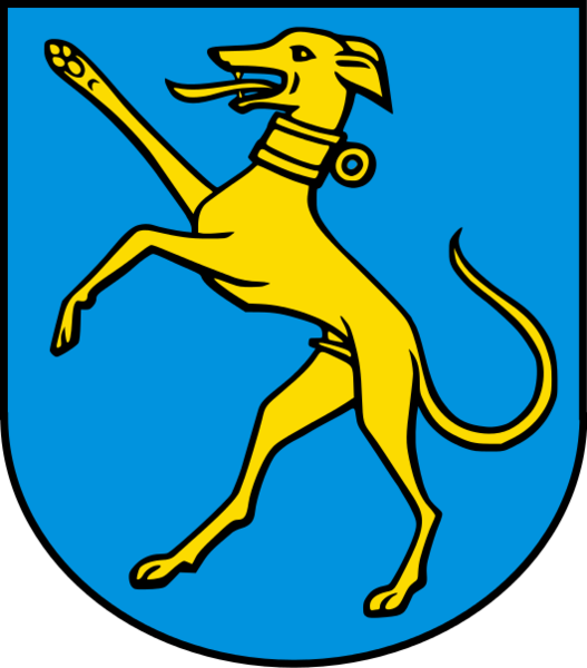 File:Hunzenschwil-blason svg.png