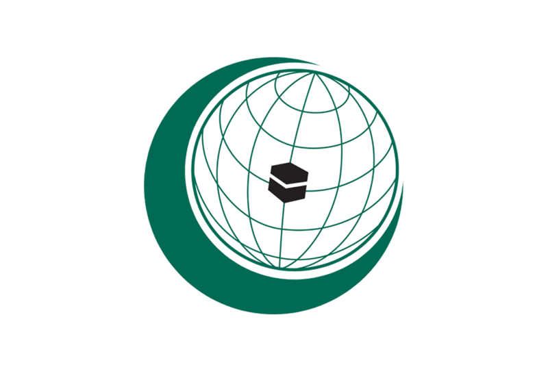 File:Flag of OIC.png