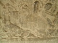 Rhinoceros.JPG