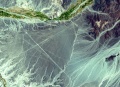 Nazca sat.jpg