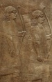 Miniatura della versione delle 17:31, 31 dic 2008