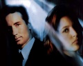 X-files-1280x1048.jpg