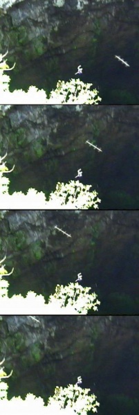 File:Cave rod 3.jpg