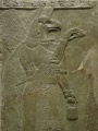 Anunnaki bird big.jpg