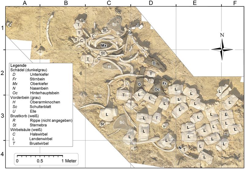 File:Excavation map - Voss et al 2019 german.jpg