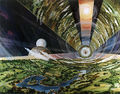Miniatura della versione delle 08:48, 25 mag 2015