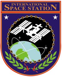 Logo del programma Iss