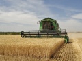 Agriculture in Volgograd Oblast 002.jpg