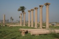 Hermopolis Basilika 10.jpg