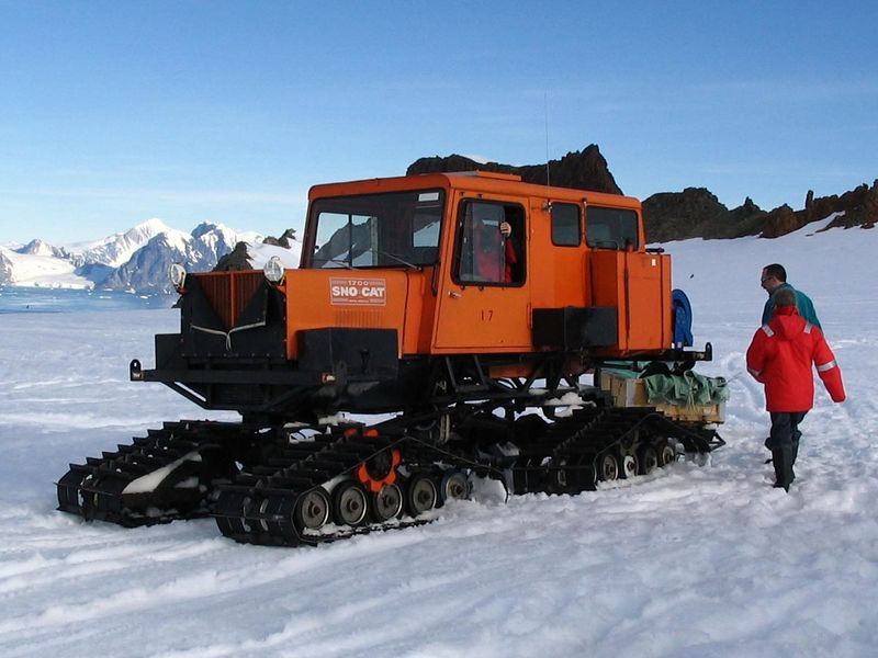 File:0315-snocat.jpg