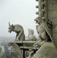 Gargoyles on the balustrade.jpg