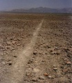 Nazca13.jpg
