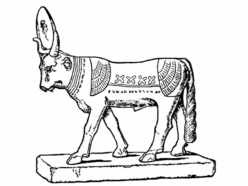 File:Fig 7 The Apis bull.jpg